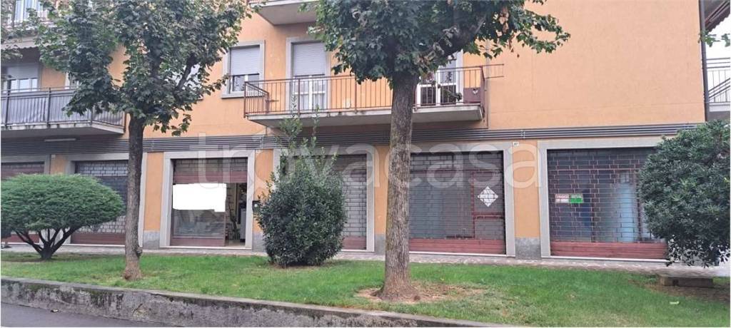 immagine annuncio 3 di 8