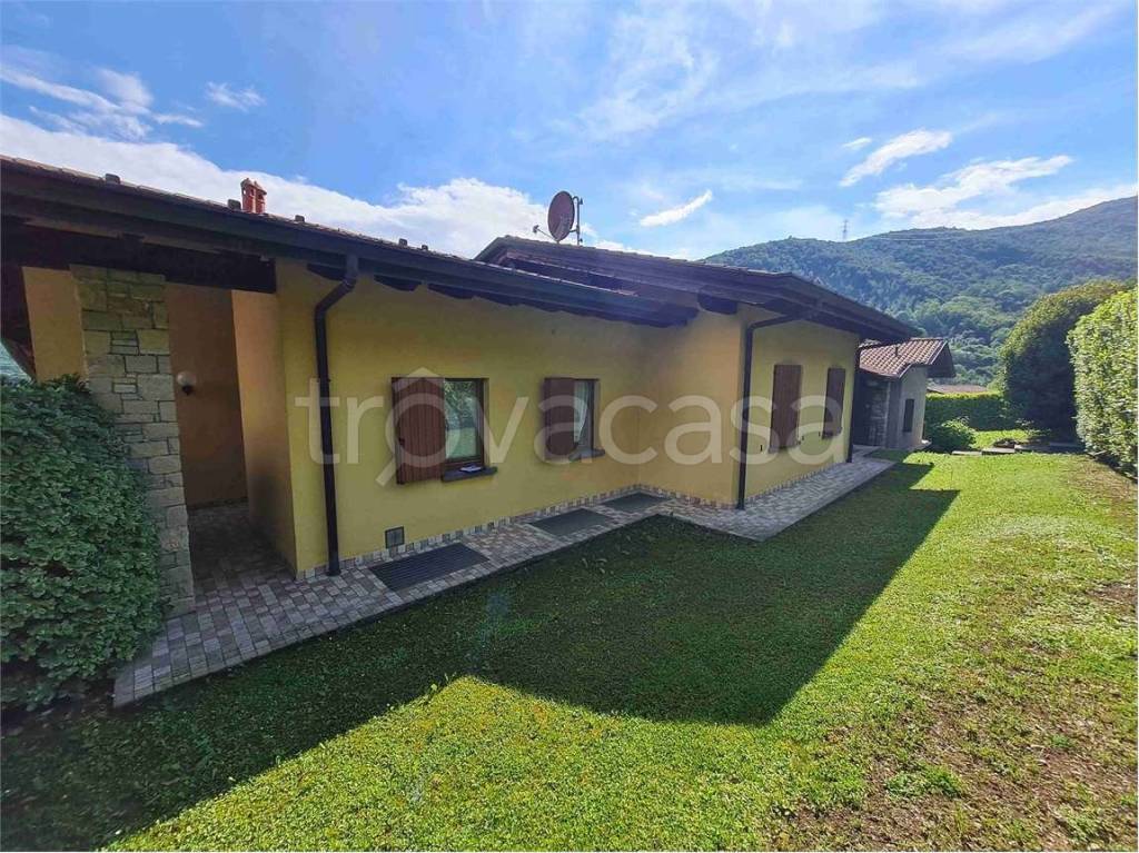 immagine annuncio 1 di 13