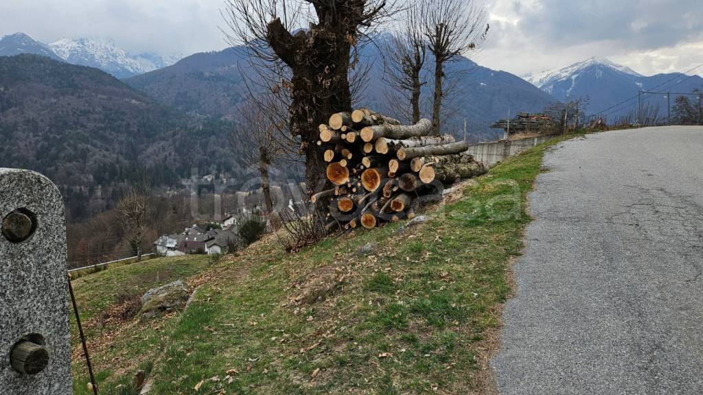 immagine annuncio 2 di 4