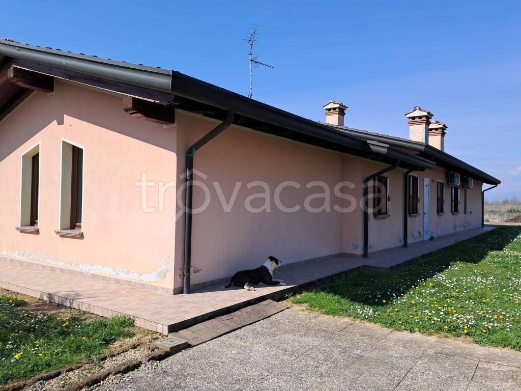 immagine annuncio 4 di 11