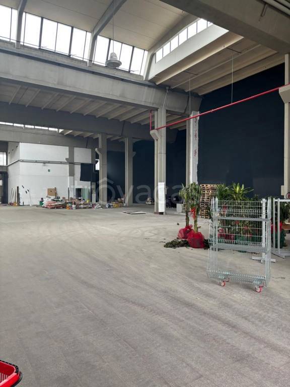 immagine annuncio 1 di 12