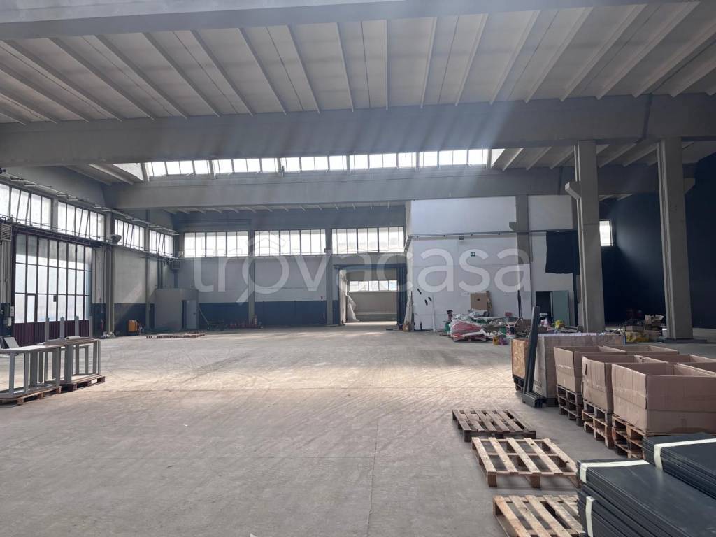 immagine annuncio 3 di 12