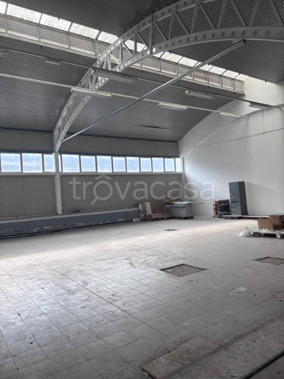 immagine annuncio 4 di 12