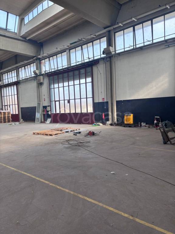 immagine annuncio 6 di 12