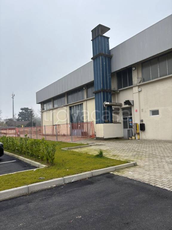 immagine annuncio 7 di 12