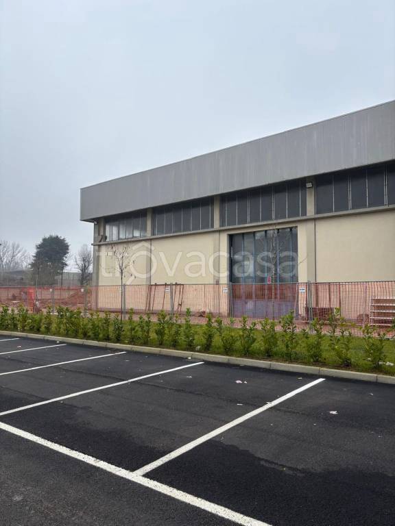 immagine annuncio 9 di 12