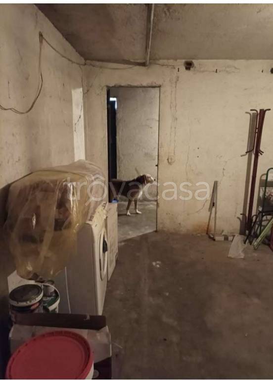 immagine annuncio 4 di 6