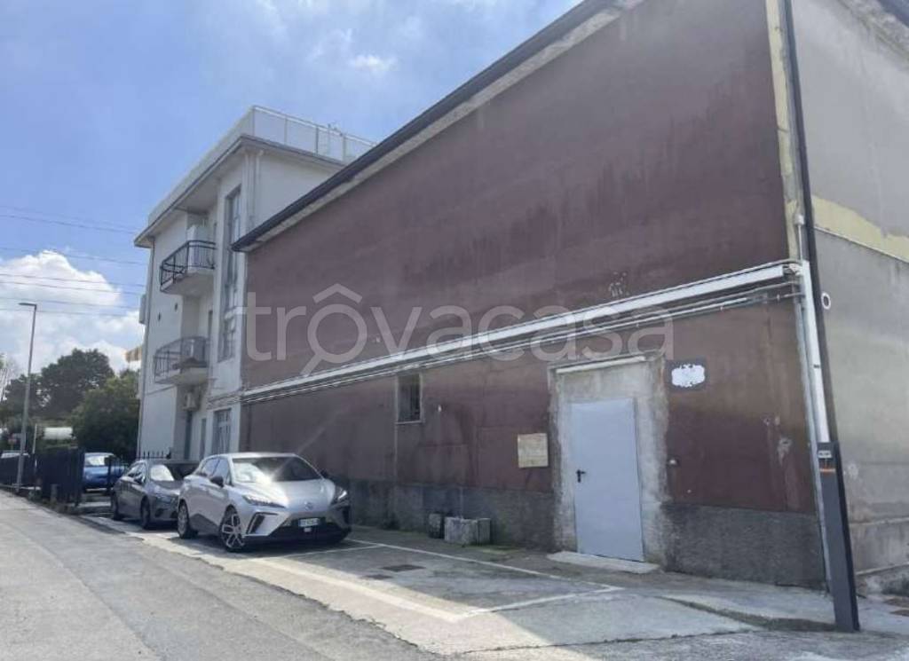 immagine annuncio 2 di 12