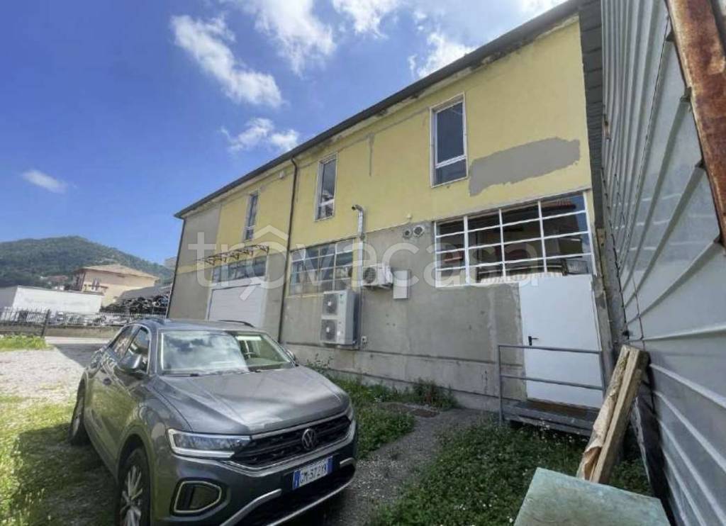 immagine annuncio 4 di 12