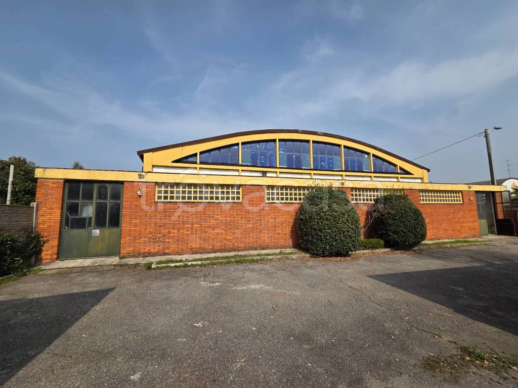 immagine annuncio 3 di 10