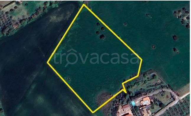 immagine annuncio 10 di 11