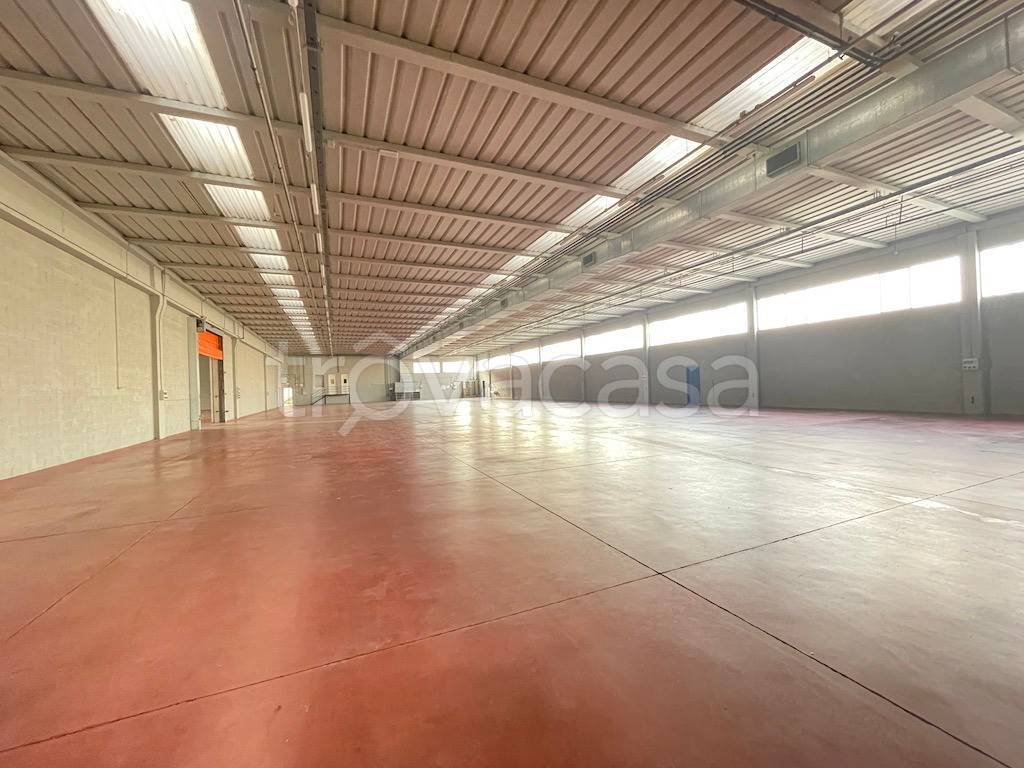 immagine annuncio 2 di 3