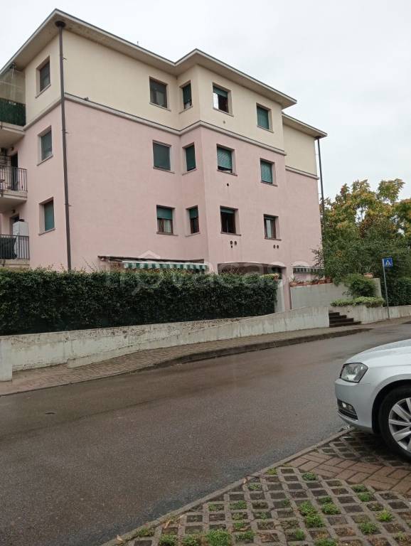 immagine annuncio 3 di 12