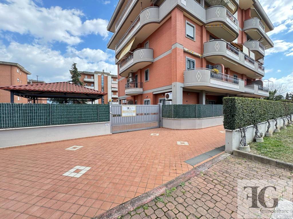 immagine annuncio 1 di 15