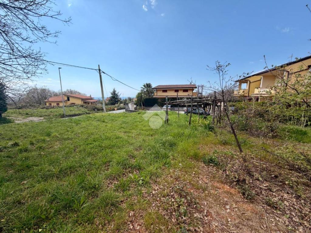 immagine annuncio 1 di 9