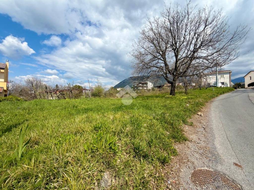 immagine annuncio 3 di 9