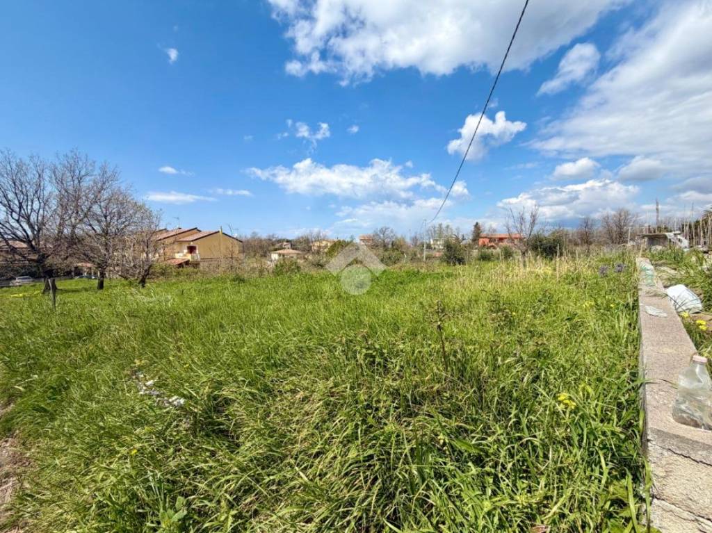 immagine annuncio 4 di 9