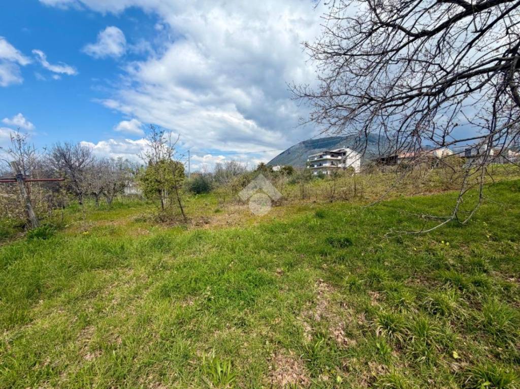 immagine annuncio 5 di 9