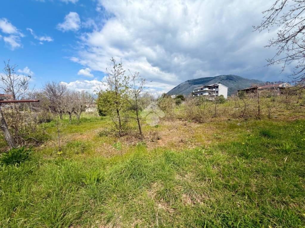 immagine annuncio 6 di 9