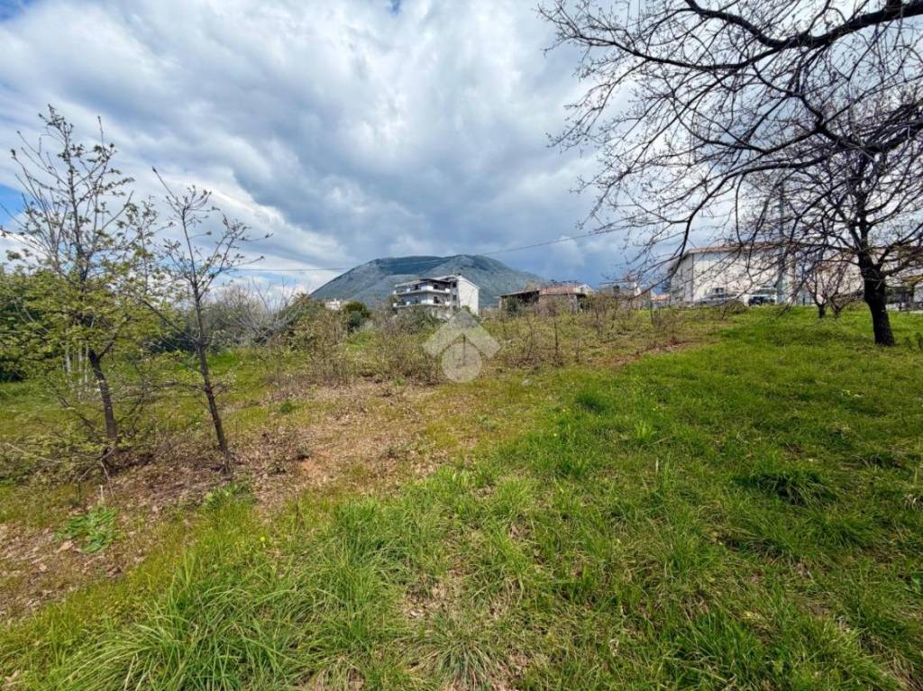 immagine annuncio 7 di 9