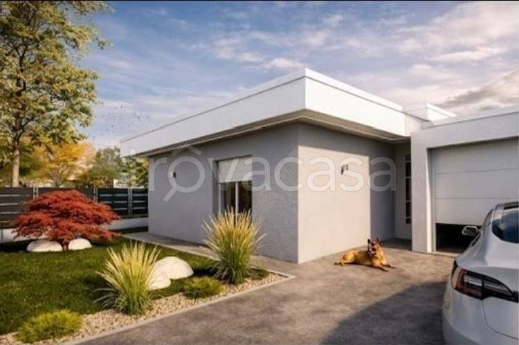 immagine annuncio 2 di 11