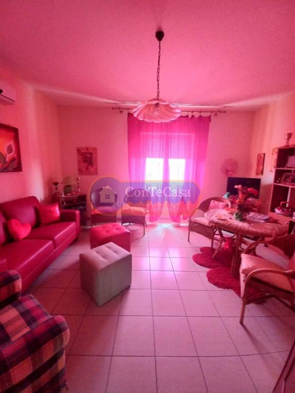 immagine annuncio 2 di 12