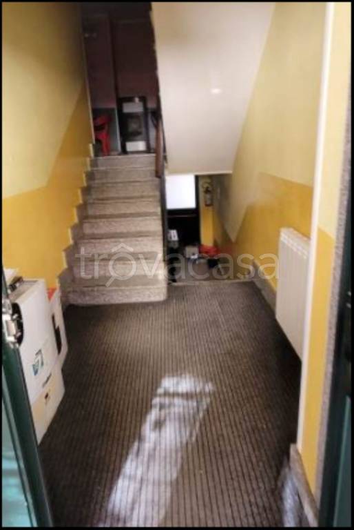 immagine annuncio 4 di 14