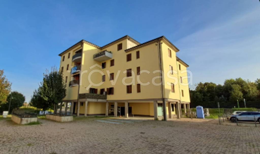 immagine annuncio 5 di 11