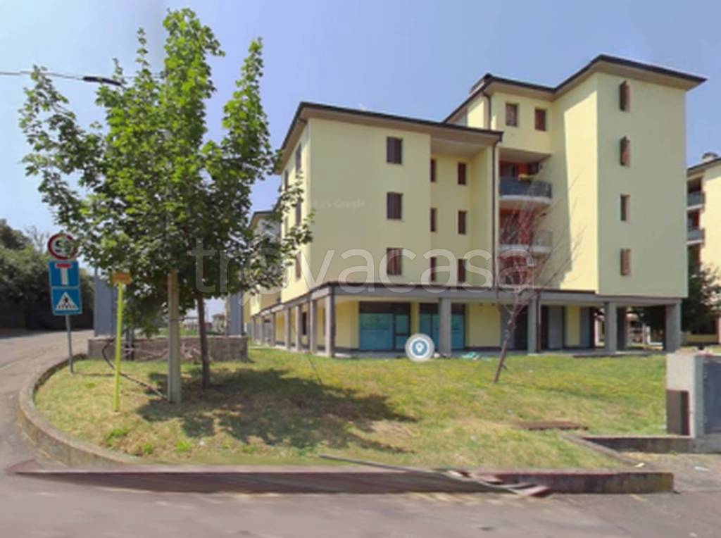 immagine annuncio 7 di 11