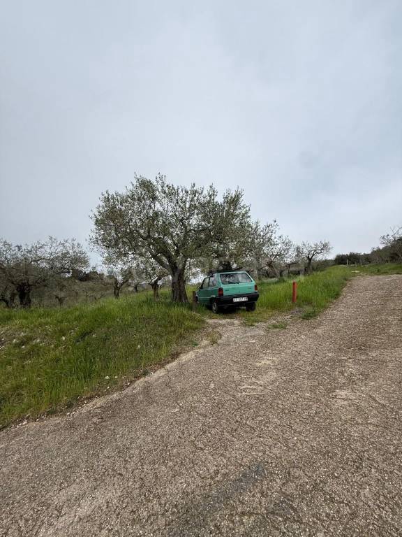 immagine annuncio 7 di 8