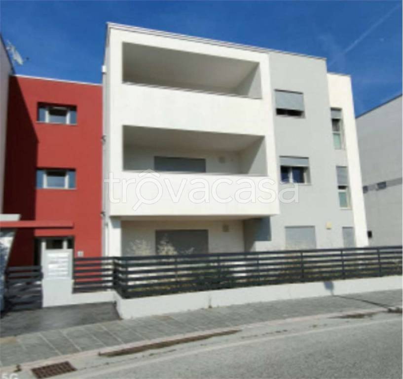 immagine annuncio 4 di 12