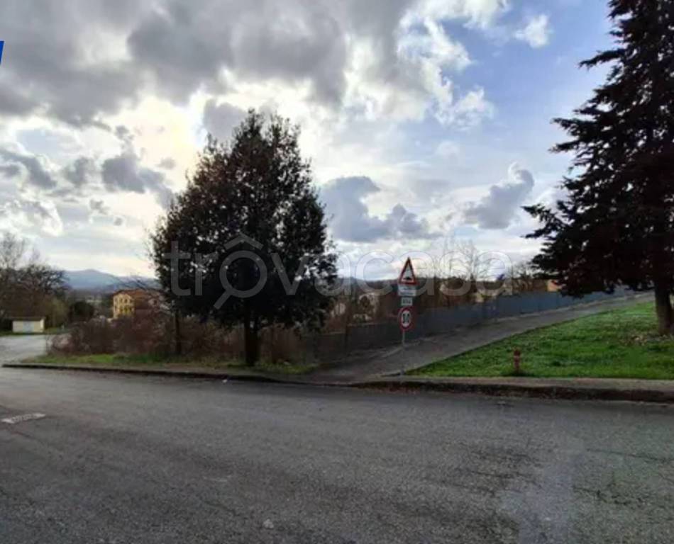 immagine annuncio 2 di 11