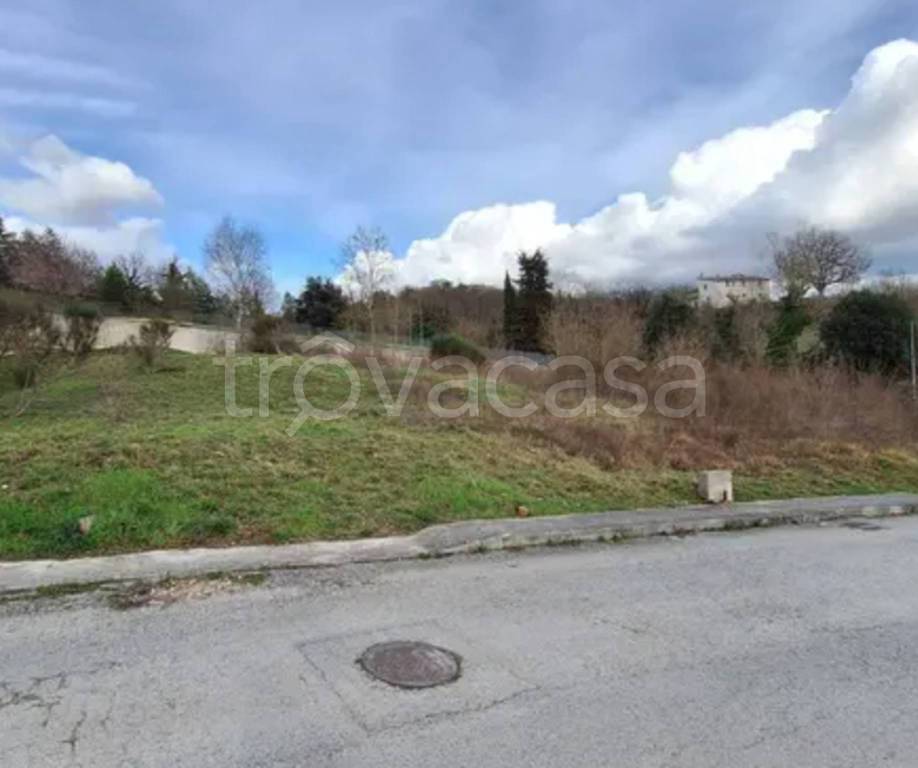 immagine annuncio 5 di 11