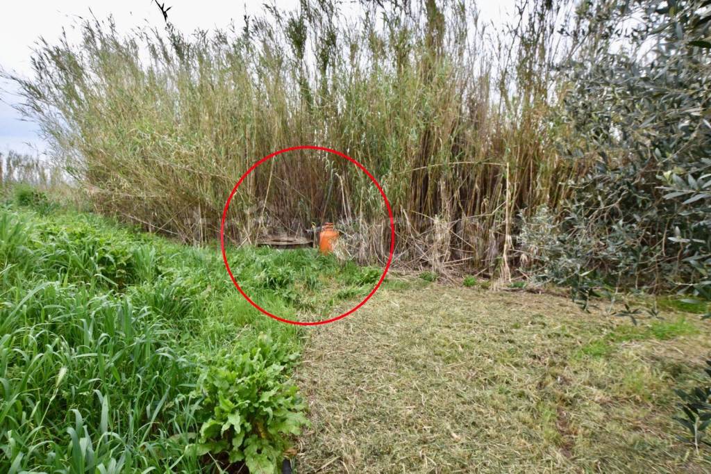 immagine annuncio 3 di 9