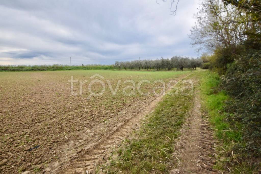 immagine annuncio 6 di 9