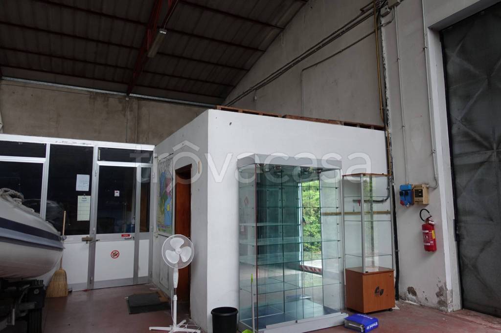 immagine annuncio 3 di 12