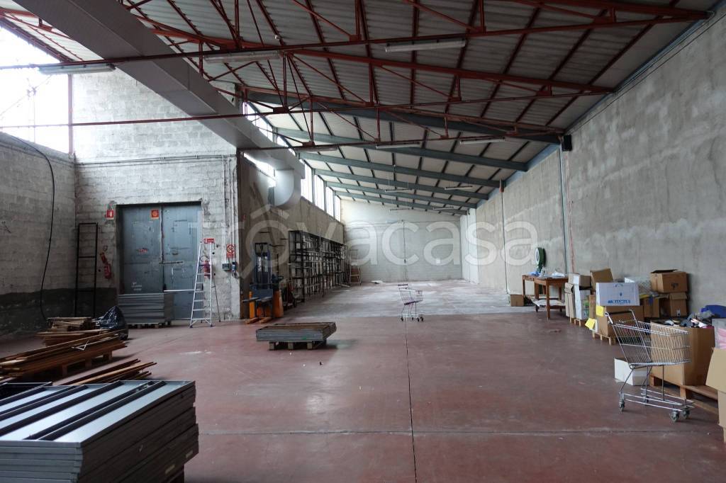 immagine annuncio 4 di 12