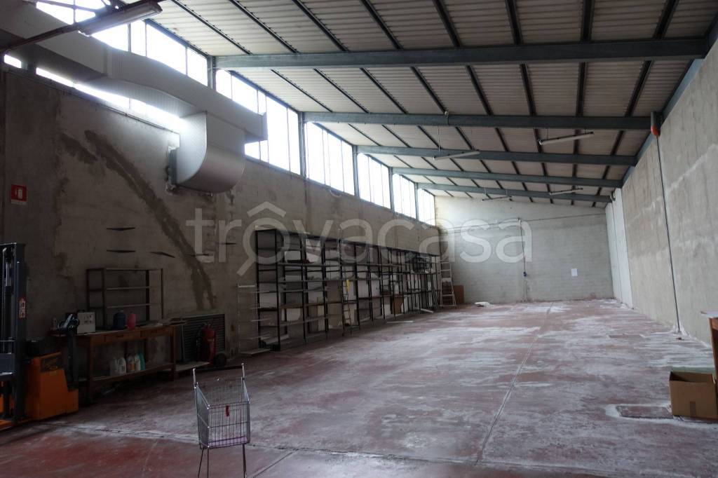 immagine annuncio 5 di 12