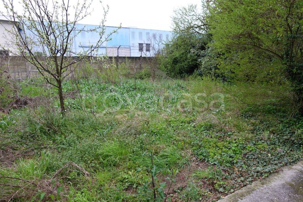 immagine annuncio 11 di 12