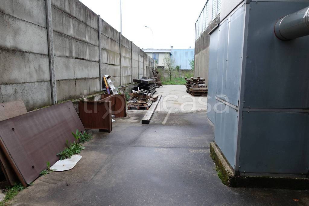 immagine annuncio 6 di 12