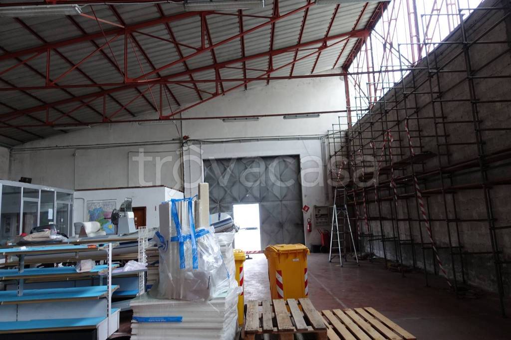 immagine annuncio 7 di 12