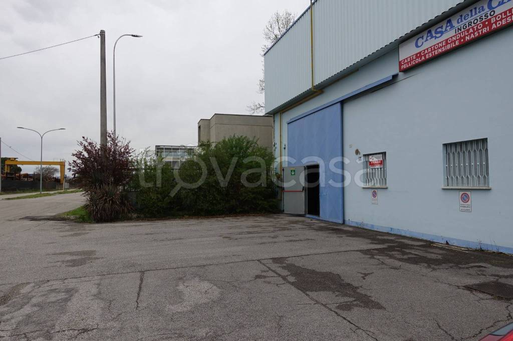 immagine annuncio 9 di 12