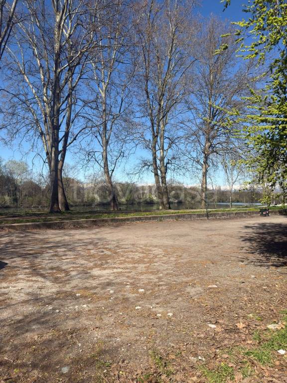 immagine annuncio 2 di 7