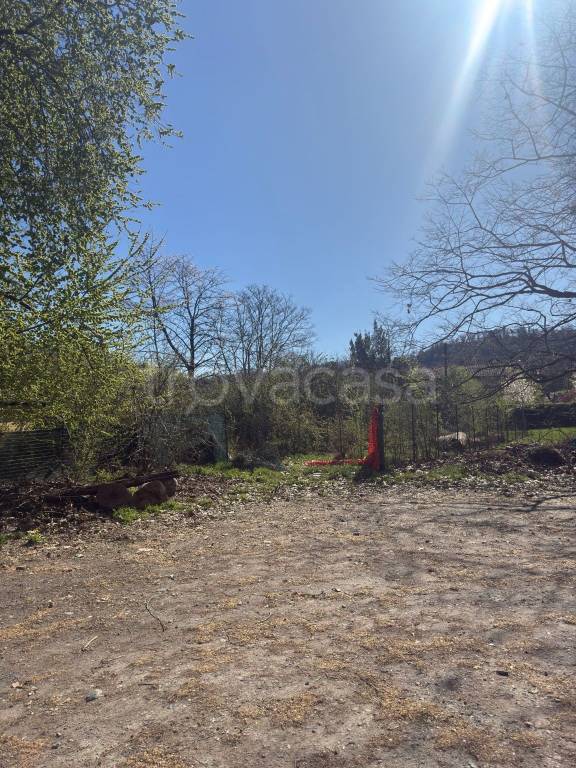 immagine annuncio 3 di 7