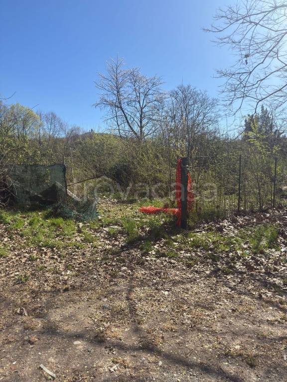 immagine annuncio 4 di 7