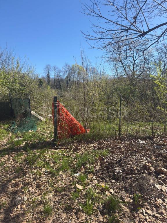 immagine annuncio 5 di 7