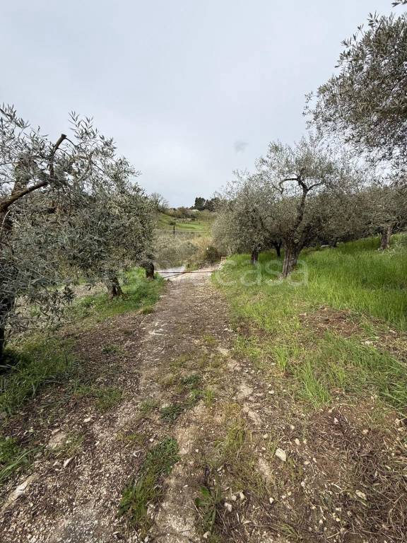 immagine annuncio 6 di 7