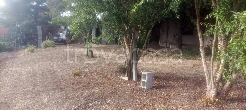 immagine annuncio 1 di 6