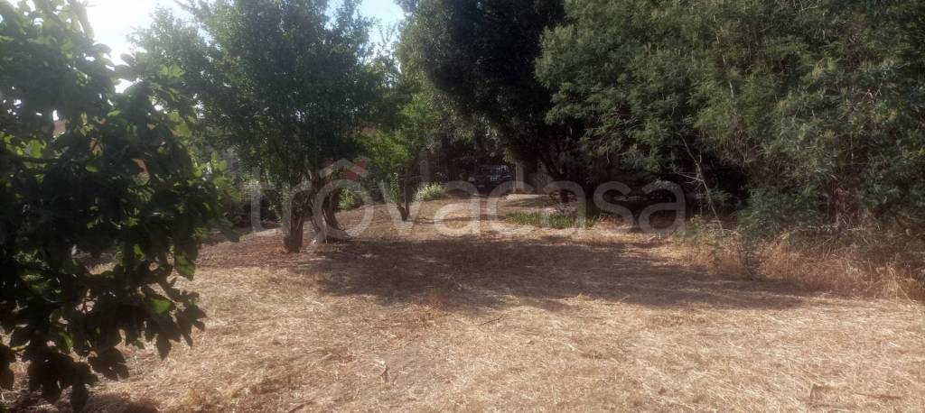 immagine annuncio 4 di 6