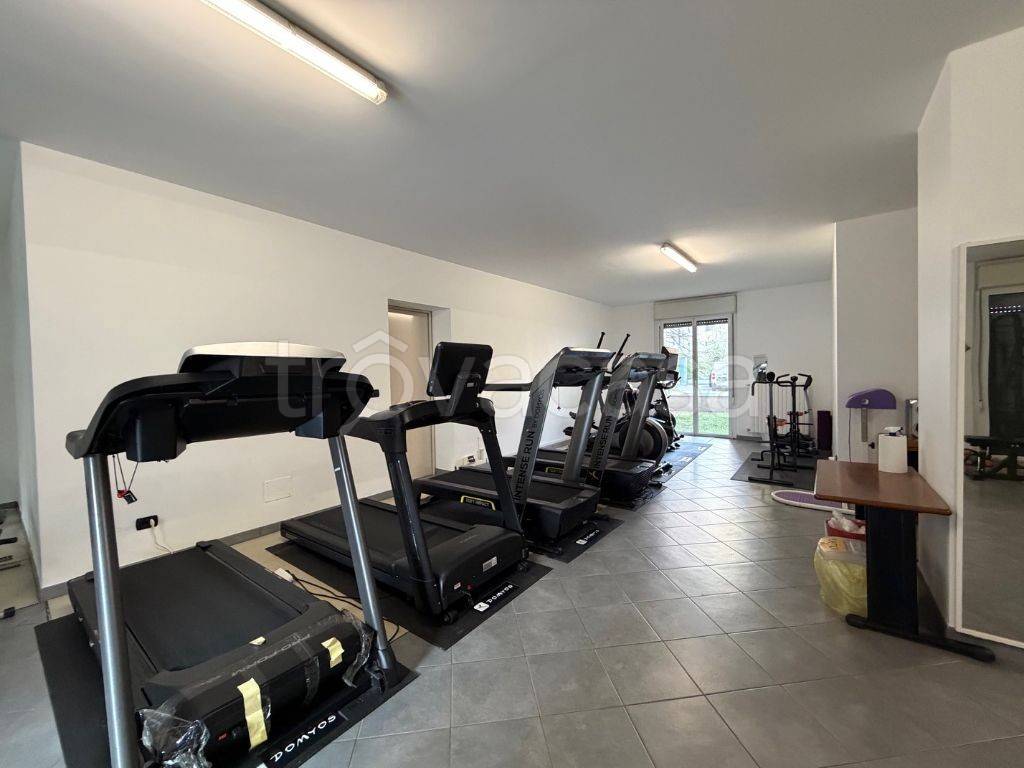 immagine annuncio 10 di 14